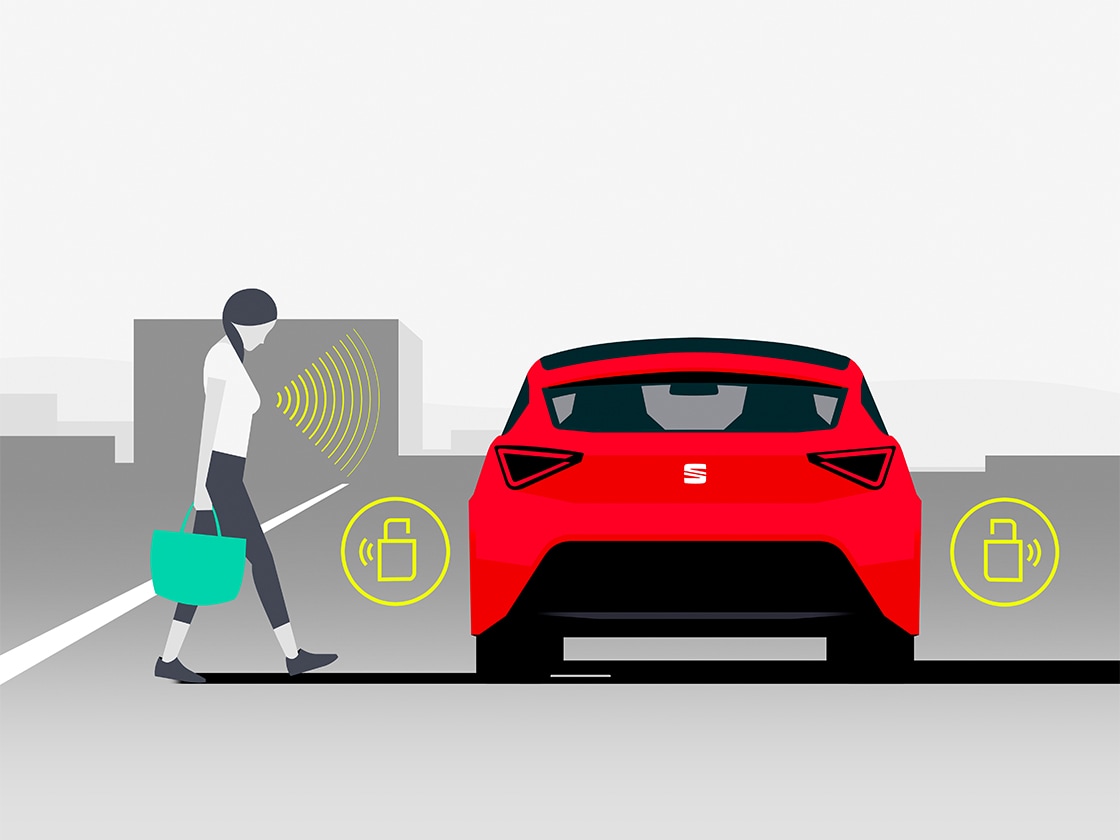 SEAT Ibizas kessy system 