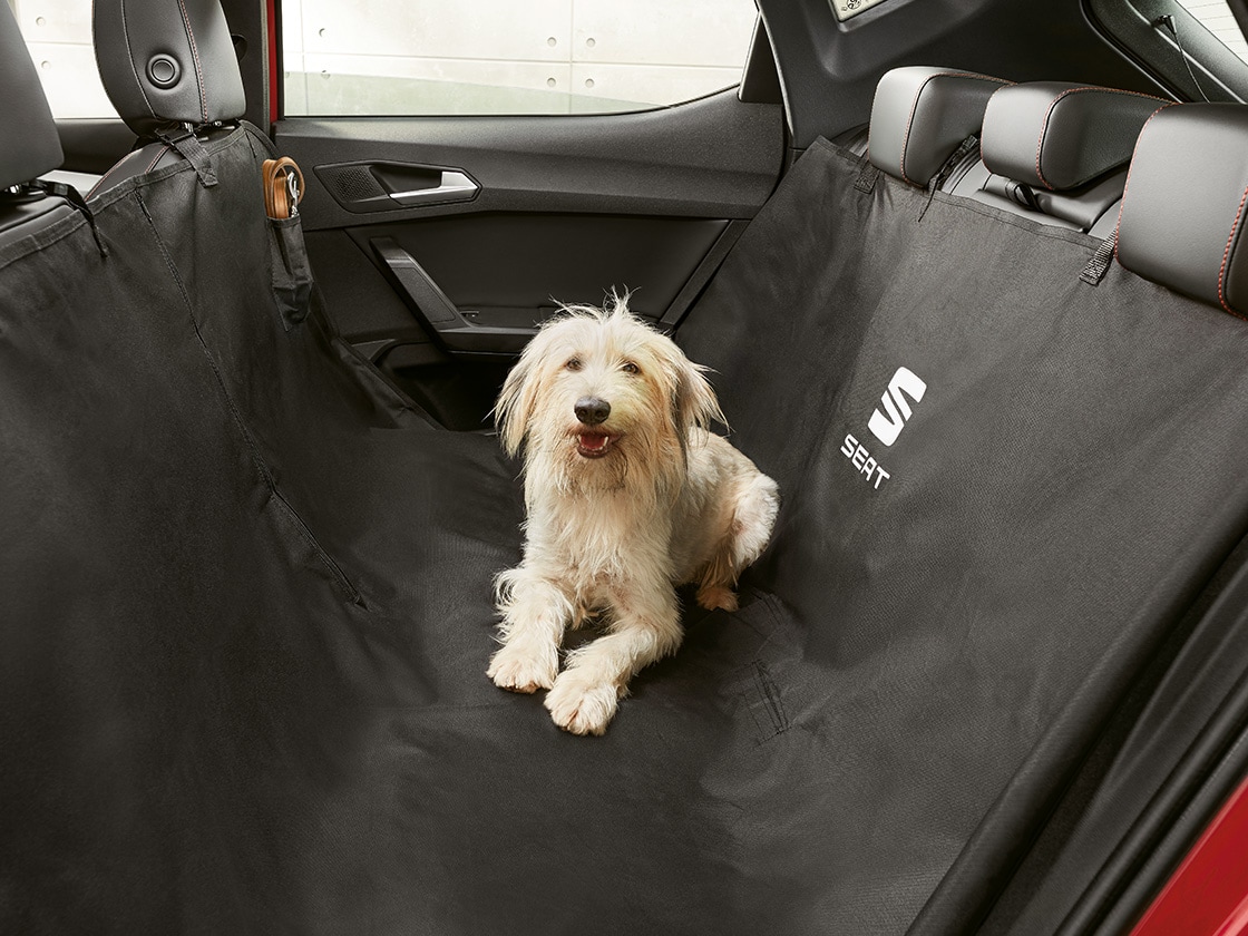 Hund som sitter bekvämt på ett skyddande sätesöverdrag i sätet leon sportstourer.