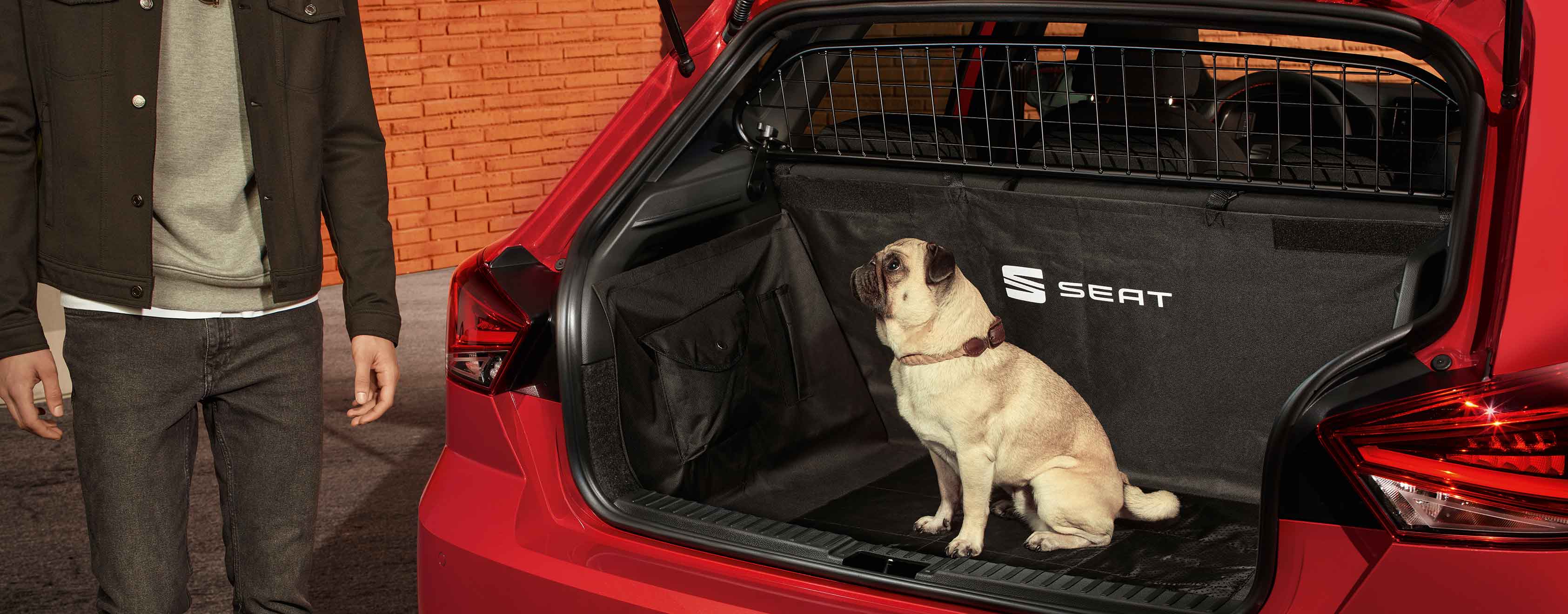 Hund i bagageutrymmet på en SEAT Ibiza med skiljegaller